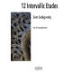 12 Intervallic Etudes for all saxophones 