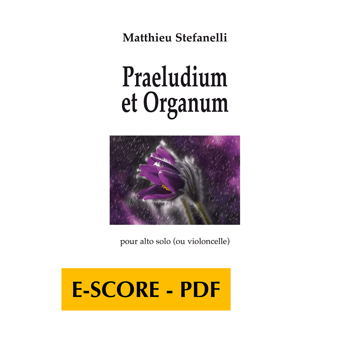 Praeludium et organum for viola or cello - E-score PDF