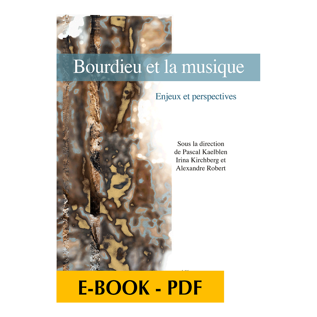 Bourdieu et la musique - Enjeux et perspectives - E-book PDF