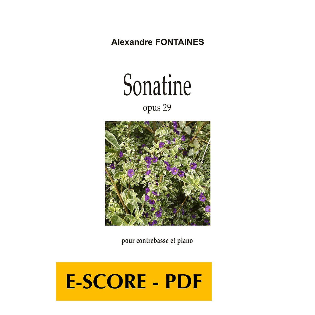 Sonata for double bass and piano - E-score PDF