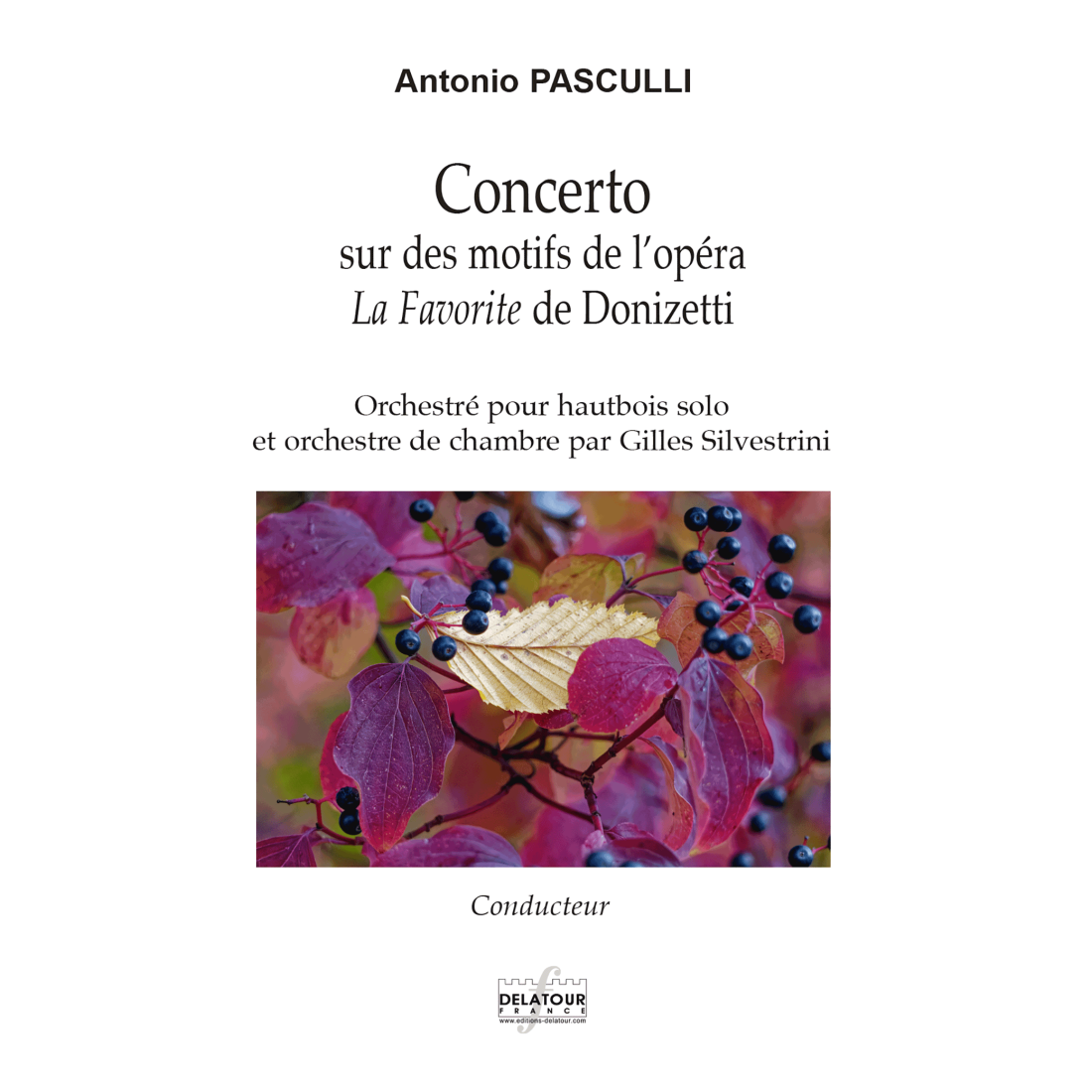 Concerto on motifs from the opera La...